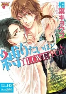 I Love You Enough to Tie You Up cover