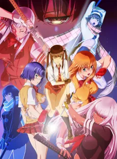 Shin Ikki Tousen cover
