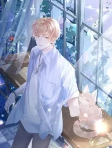 Cang Qilai cover