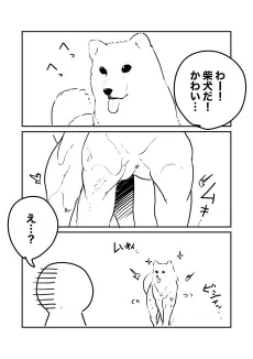 Level 100 no Shiba Inu cover