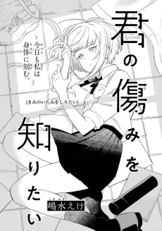Kimi no Itami wo Shiritai cover