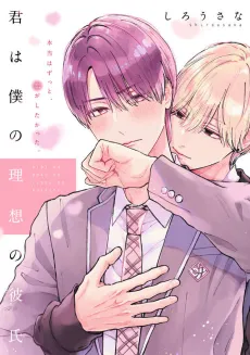 Kimi wa Boku no Risou no Kareshi cover
