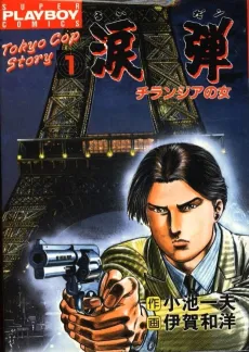 Ruidan cover