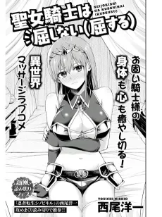 Seijo Kishi wa Kusshinai (Kussuru) cover