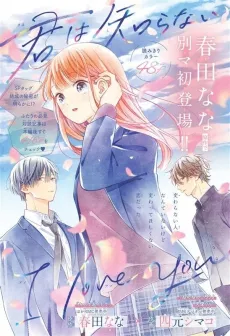 Kimi wa Shiranai I Love You cover
