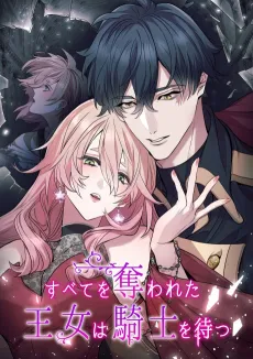 Subete wo Ubawareta Oujo wa Kishi wo Matsu cover