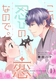 This is What Ninja Love's All About cover