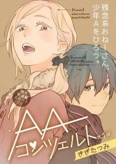 AA Konzert cover