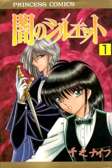 Silhouette of Darkness cover