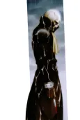 The Skull Man cover