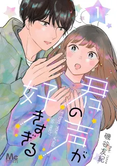 Kimi no Koe ga Sukisugiru cover