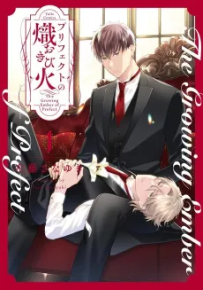 The Fiery Prefect cover