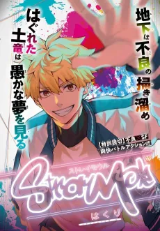 Stay Mole cover