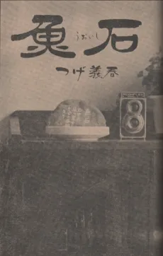 Fish Stone cover