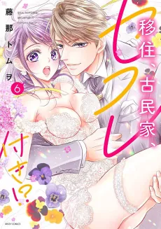 Ijyuu, Kominka, Sefuretsuki!? Bangai-hen Tsubaki Shachou no Mitsu Yaku Hanayome cover