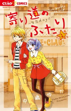 Yorimichi no Futari cover