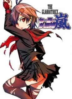 Sailor Kentouki Arashi cover
