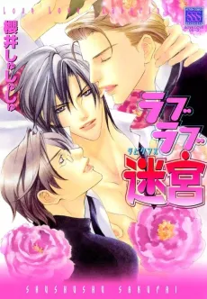 Love Love Labyrinth cover