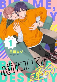 Kamitsuite yo Unmei cover