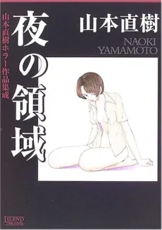 Yoru no Ryouiki cover