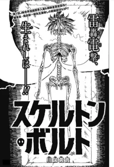Skeleton Bolt cover