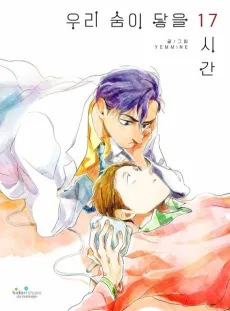 Uri Sumi Daeul 17 Sigan cover