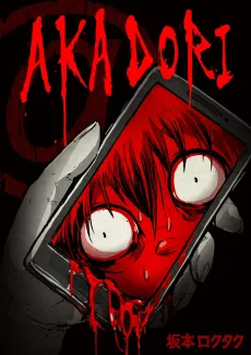 AKADORI cover