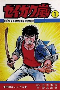 Seigaku Arashi cover