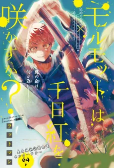 Marmot wa Sennichikou wo Sakasu ka? cover