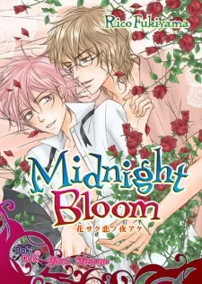 Midnight Bloom cover