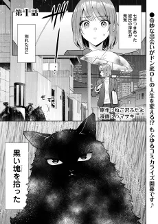 Hirotta no ga Hontou ni Neko ka wa Utagawashii cover