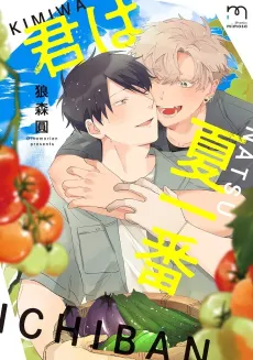 Kimi wa Natsu Ichiban cover