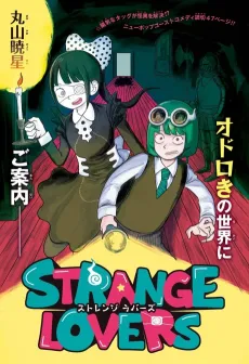 STRANGE LOVERS cover