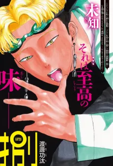 Hachi cover