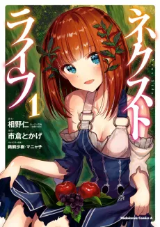 Next Life cover