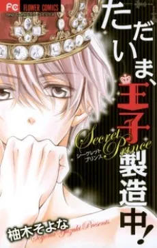 Tadaima, Ouji Seizouchuu! cover