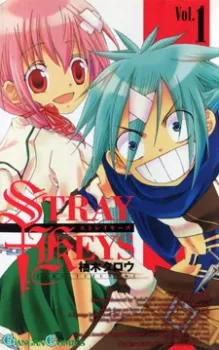 Stray Keys cover