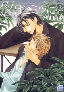 Yoru wa Himitsu ni... cover