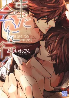 Mata Ai ni Iku cover