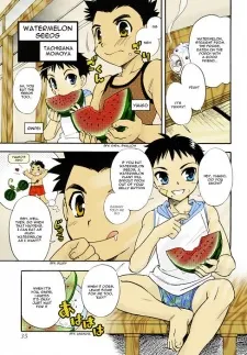 Watermelon Seeds cover