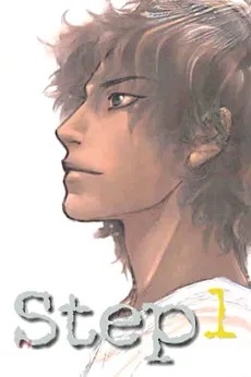 Step cover