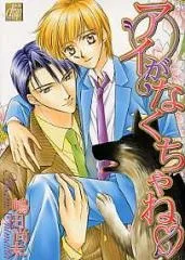 Ai ga Nakuchane cover
