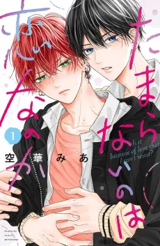 A Love Too Captivating cover