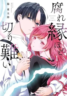 Kusareen hodo Kirigatai cover