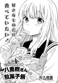 Yaegashi-san no Dagashi Meshi cover