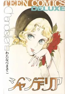 Chandelier cover