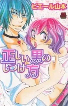 Tadashii Otoko no Shitsukekata cover