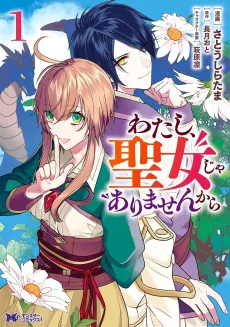 I'm No High Priestess! cover