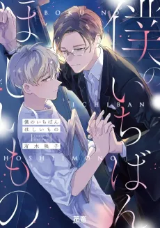 Boku no Ichiban Hoshii Mono cover