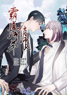 Fei Ran Cheng Shuang cover